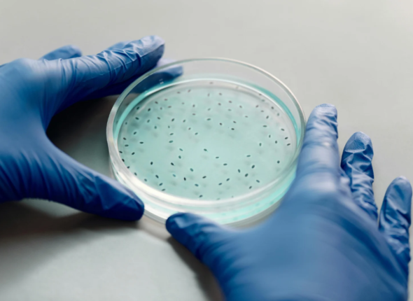 Complete Microbiology Course